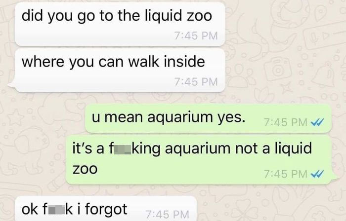 Liquid Zoo