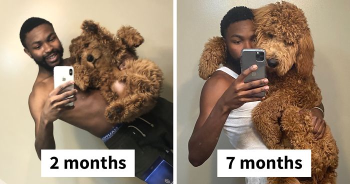 People On Twitter Are Posting Pics Of Their Dogs As Little Puppies Vs. What They Look Like Now (30 Pics)