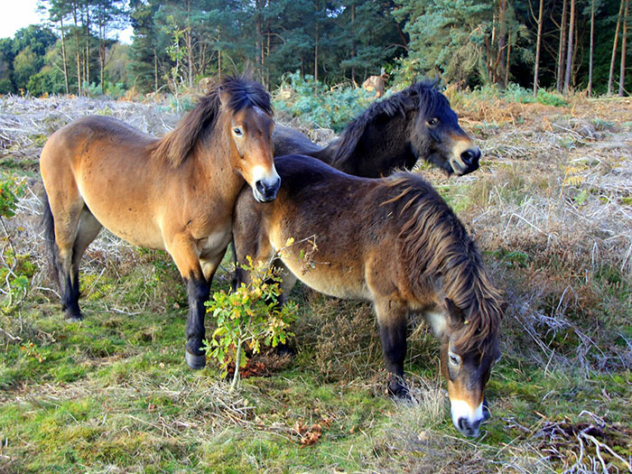 30 Casual Things That People Learned Embarrassingly Late