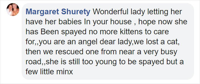 Stray Cat &lsquo;Asks&rsquo; Woman To Let Her Inside So She Can Have Her Babies