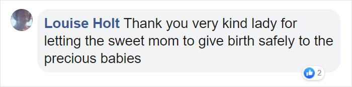 Stray Cat &lsquo;Asks&rsquo; Woman To Let Her Inside So She Can Have Her Babies