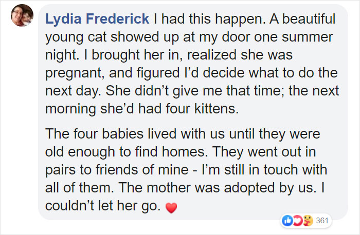 Stray Cat &lsquo;Asks&rsquo; Woman To Let Her Inside So She Can Have Her Babies