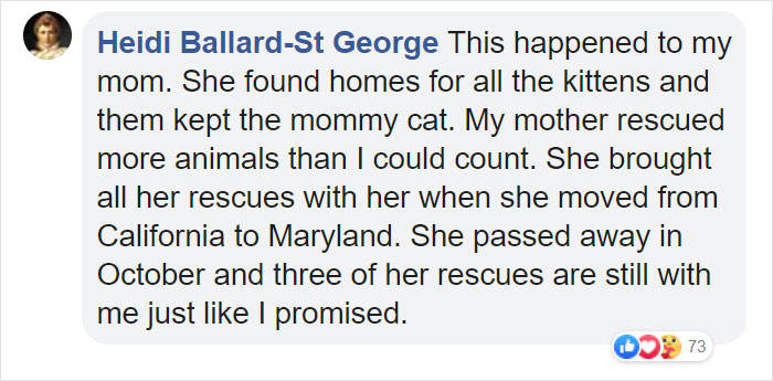 Stray Cat ‘Asks’ Woman To Let Her Inside So She Can Have Her Babies Stray Cat ‘Asks’ Woman To Let Her Inside So She Can Have Her Babies