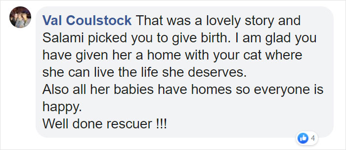 Stray Cat &lsquo;Asks&rsquo; Woman To Let Her Inside So She Can Have Her Babies