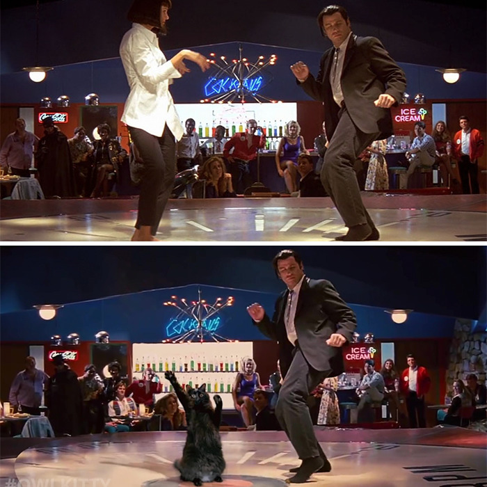 Here's A Parody Of Tarantino's "Pulp Fiction" With A Cat Starring In It