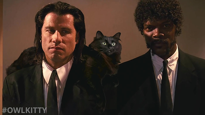 Here's A Parody Of Tarantino's "Pulp Fiction" With A Cat Starring In It
