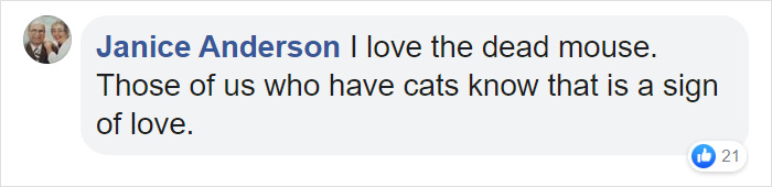 Here's A Parody Of Tarantino's "Pulp Fiction" With A Cat Starring In It