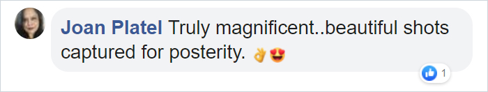 19 Stunning Photos Of A Rare Black Panther Roaming In The Jungles Of India