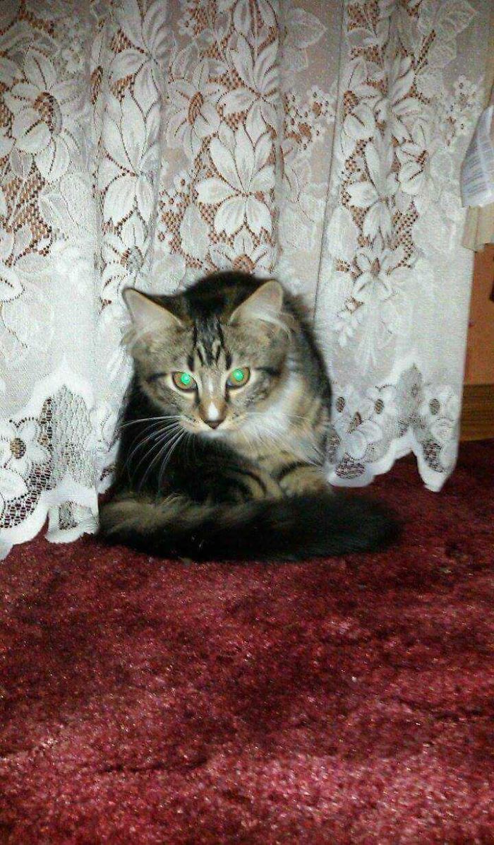 Little Max Looking A Little More Demonic Than Usual