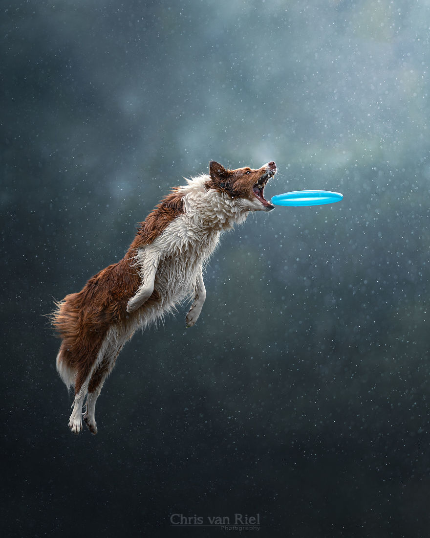 Flying Trough A Sky Full Of Bokeh