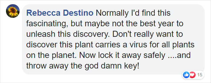 Scientists Grew A Plant From A 32,000-Year-Old Seed And It's All Thanks To Squirrels Scientists Grew A Plant From A 32,000-Year-Old Seed And It's All Thanks To Squirrels