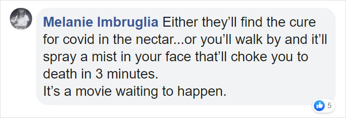 Scientists Grew A Plant From A 32,000-Year-Old Seed And It's All Thanks To Squirrels Scientists Grew A Plant From A 32,000-Year-Old Seed And It's All Thanks To Squirrels