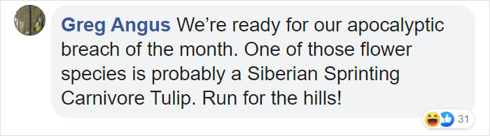 Scientists Grew A Plant From A 32,000-Year-Old Seed And It's All Thanks To Squirrels Scientists Grew A Plant From A 32,000-Year-Old Seed And It's All Thanks To Squirrels