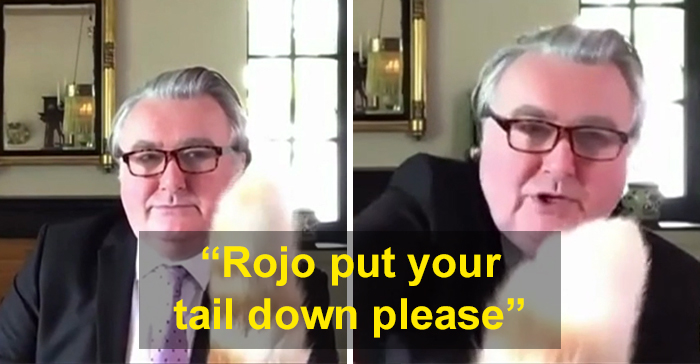 "I Apologize For My Cat’s Tail": Scottish MP Goes Viral After His Cat Photobombs A Zoom Meeting "I Apologize For My Cat’s Tail": Scottish MP Goes Viral After His Cat Photobombs A Zoom Meeting