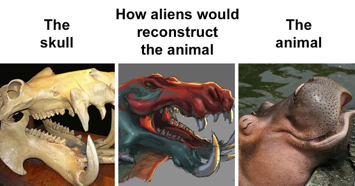People Compare How Aliens Would Reconstruct Animals Based On Their Skulls Vs. What They Really Look Like (28 Pics)