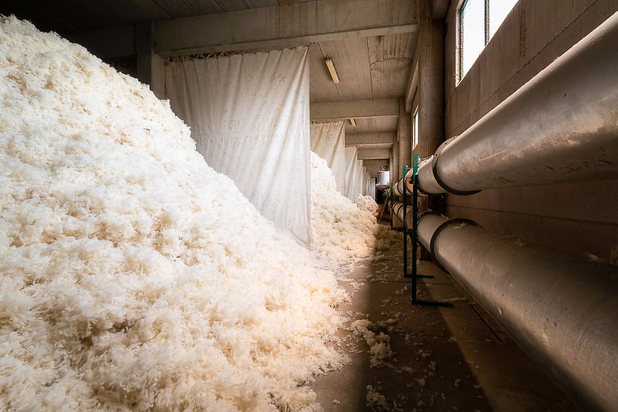 I Explored An Abandoned Lanolin Factory That Closed In 2009 I Explored An Abandoned Lanolin Factory That Closed In 2009