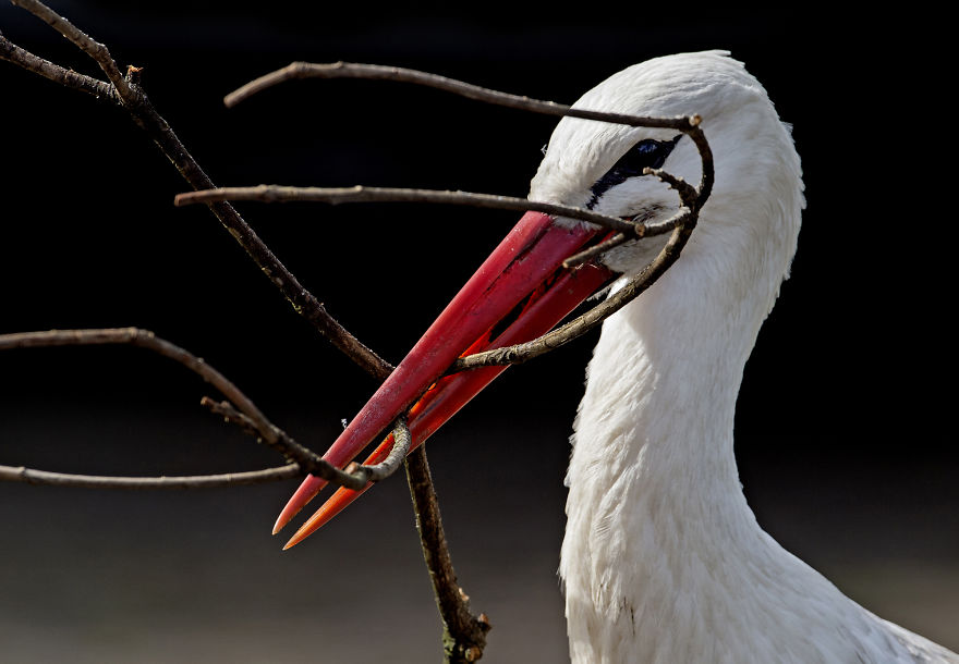 I've Used A Once-In-A-Lifetime Chance To Capture The Neowise Comet (13 Pics)