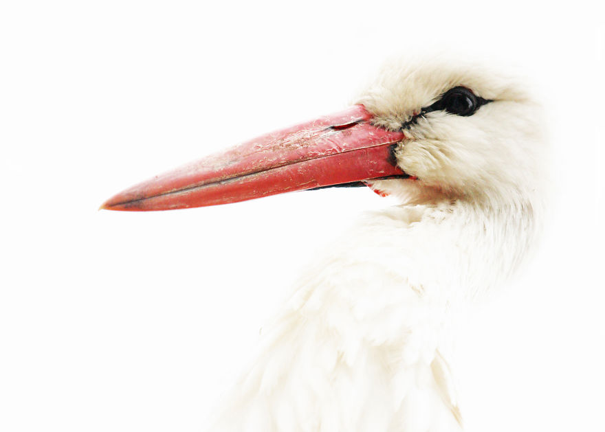 I've Used A Once-In-A-Lifetime Chance To Capture The Neowise Comet (13 Pics)