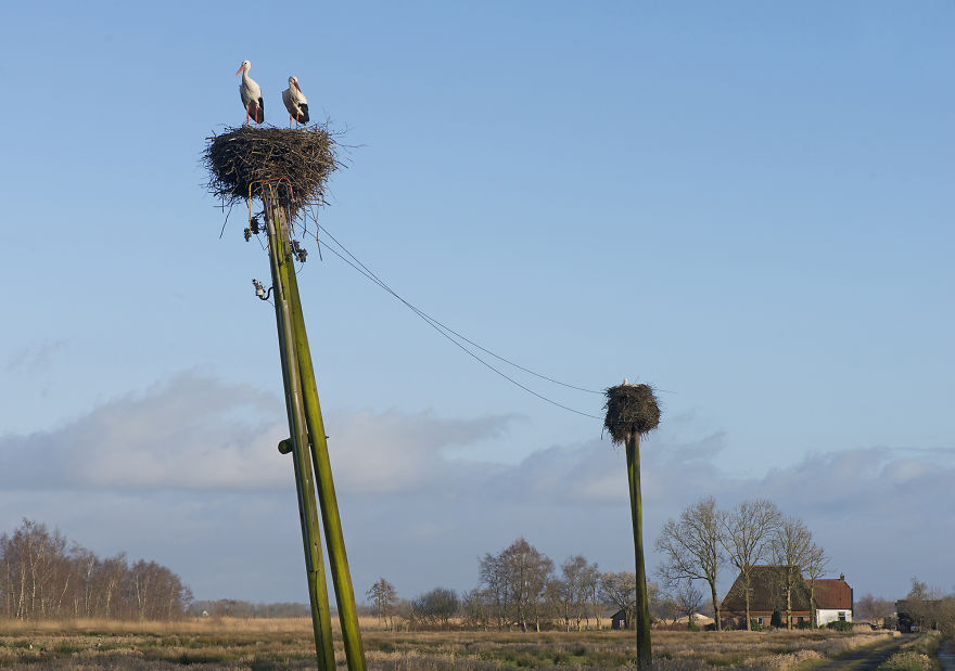 I've Used A Once-In-A-Lifetime Chance To Capture The Neowise Comet (13 Pics) I've Used A Once-In-A-Lifetime Chance To Capture The Neowise Comet (13 Pics)
