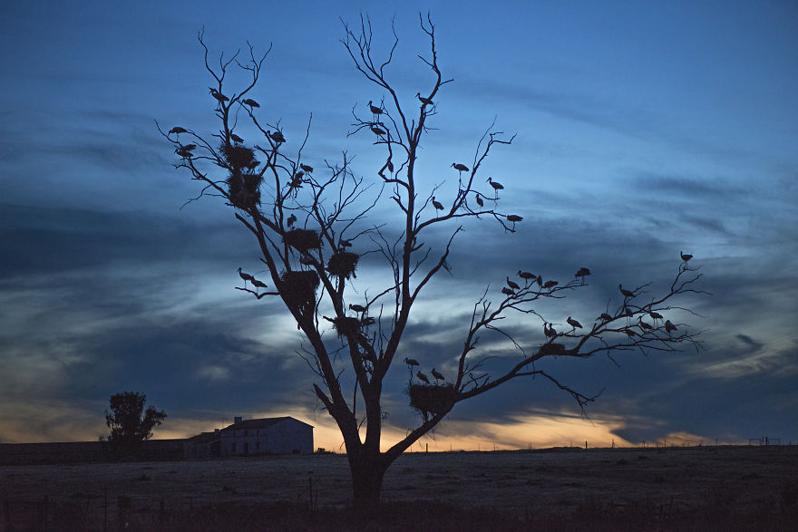 I've Used A Once-In-A-Lifetime Chance To Capture The Neowise Comet (13 Pics) I've Used A Once-In-A-Lifetime Chance To Capture The Neowise Comet (13 Pics)