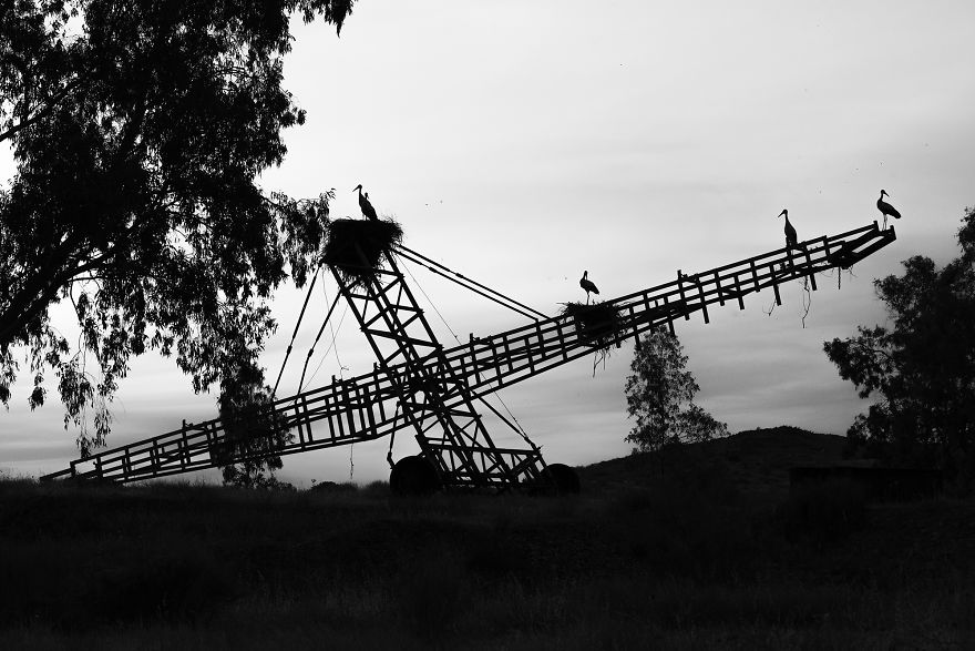 I've Used A Once-In-A-Lifetime Chance To Capture The Neowise Comet (13 Pics)