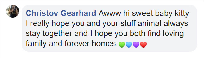 Kitten Brings His Stuffed Dragon BFF To The Vet To Keep Him Safe Kitten Brings His Stuffed Dragon BFF To The Vet To Keep Him Safe