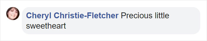 Kitten Brings His Stuffed Dragon BFF To The Vet To Keep Him Safe Kitten Brings His Stuffed Dragon BFF To The Vet To Keep Him Safe