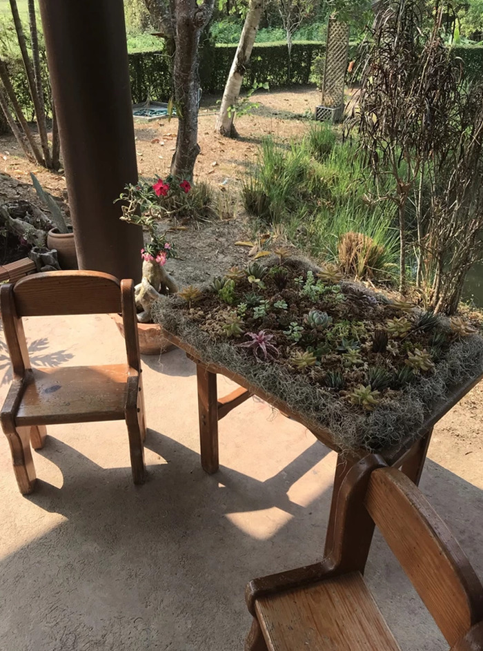 Succulent-Tables