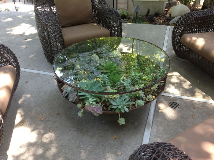 Succulent-Tables