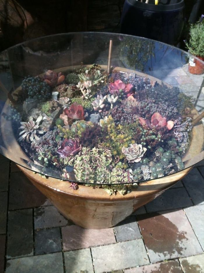 Succulent-Tables