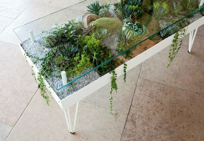 Succulent-Tables
