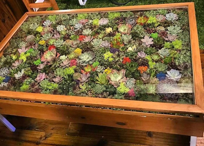 Succulent-Tables