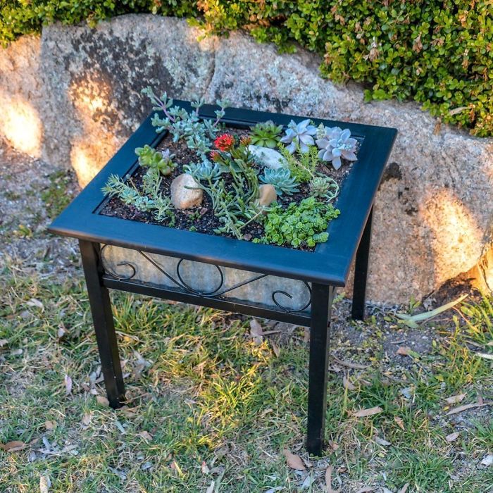Succulent-Tables