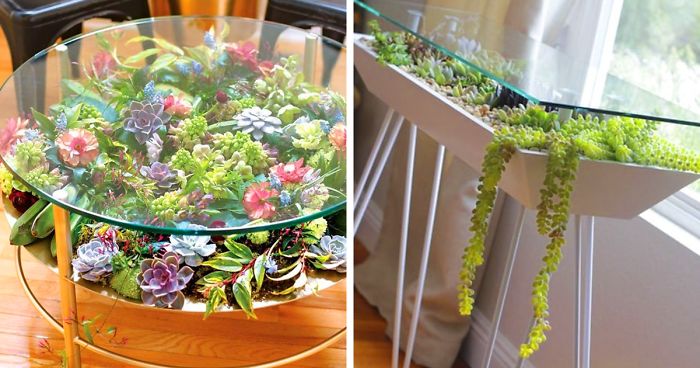 31 Times People Made Their Home Greener By Turning Tables Into Succulent Gardens