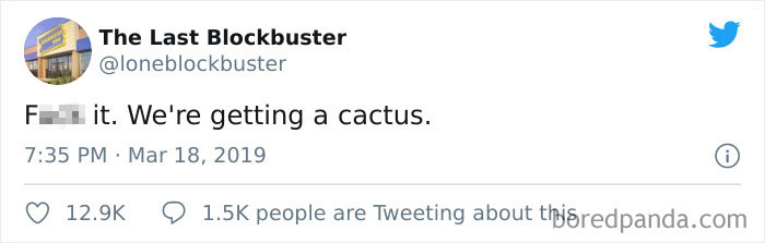 The-Last-Blockbuster-Funny-Tweets