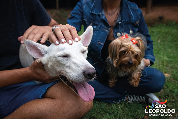 Disabled Dog That Was Dumped By Its Heartless Owners Twice In One Day Finds A Forever Home Disabled Dog That Was Dumped By Its Heartless Owners Twice In One Day Finds A Forever Home