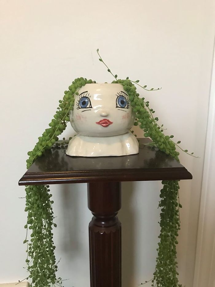 This Is A Small Planter I Found At A Local Second Hand Store. I Planted A Plant Called String Of Pearls