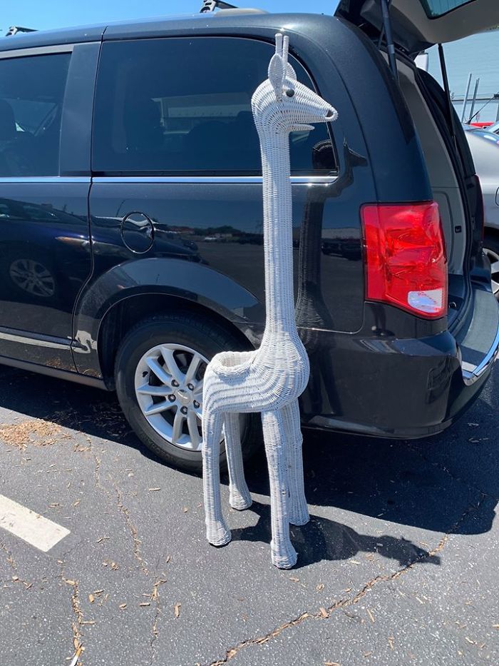 I Found This Giant Giraffe Wicker Planter At Goodwill In Marietta, Ga Today For $9. I Love Her