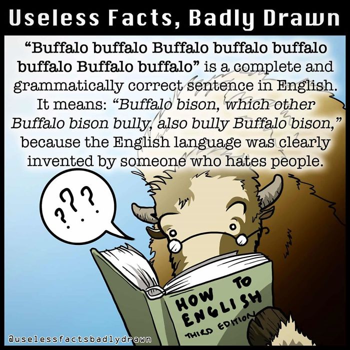 Useless-Facts-Badly-Drawn