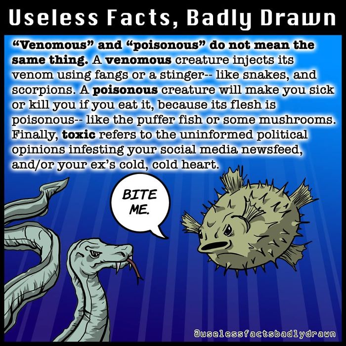 Useless-Facts-Badly-Drawn