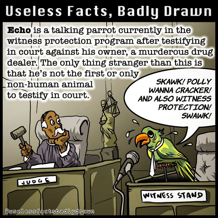 Useless-Facts-Badly-Drawn