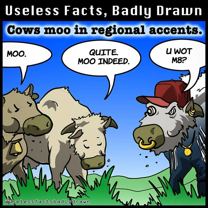 Useless-Facts-Badly-Drawn