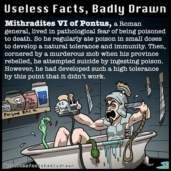 Useless-Facts-Badly-Drawn