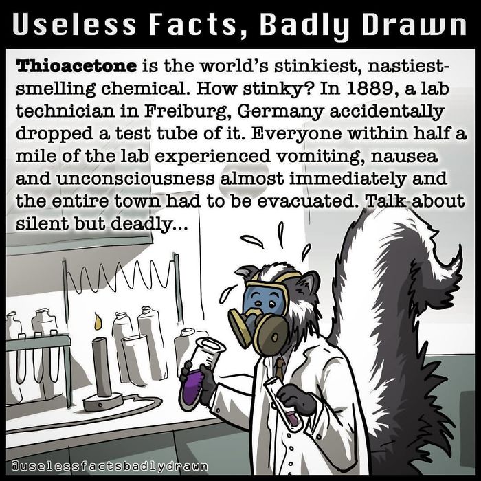Useless-Facts-Badly-Drawn