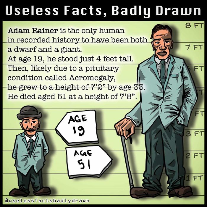 Useless-Facts-Badly-Drawn