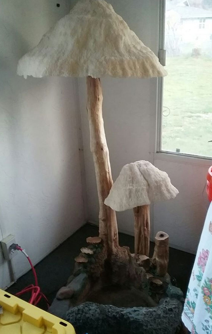 I'm Inheriting This From My Grandma Because She Wants More Room In Her Sunroom And It's Too Big For Her To Mess With Anymore