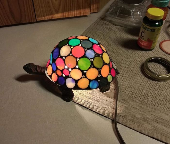 Found This Really Amazing Second Hand Find. It's A Really Unique Turtle Lamp. My Husband Got It For Me And I Absolutely Love It. I Have A Turtle Collection Growing. Update:::: Help Me Name Him
