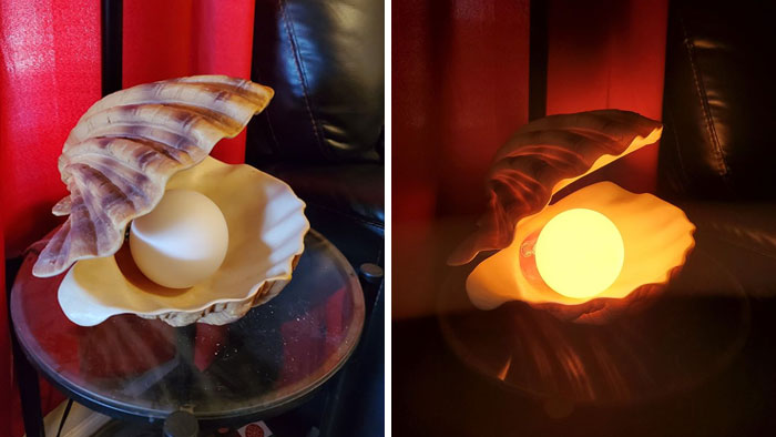 My Awesome Oyster Lamp I Was Able To Scoop Up For A Mere $20 Since It Did Not Light Up. I Am Happy To Report It Is Now Working Great And Is Illuminating The Entire Room!