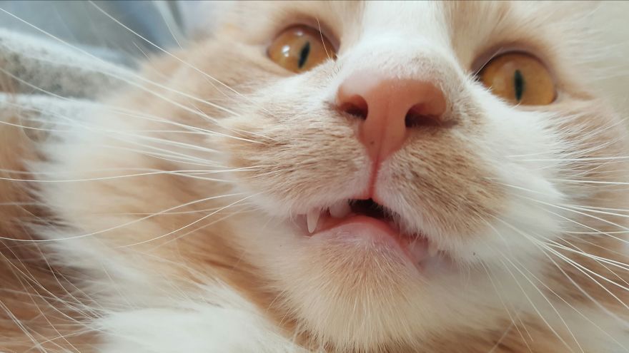 What Is The Coolest Thing You Know?