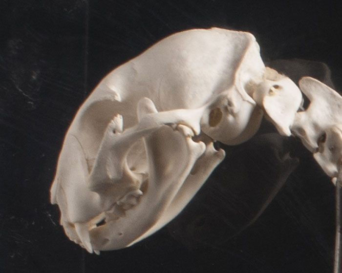 30 Things People Considered ‘Normal’ While Growing Up, Only To Find Out They’re Actually Weird (New Posts)